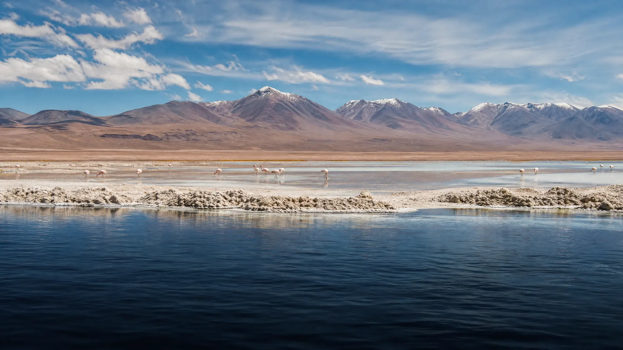 Flottez dans des lagons hypersalins du désert et visitez des dolines d’eau douce. Choisissez parmi des excursions guidées l’après-midi au départ de San Pedro de Atacama.