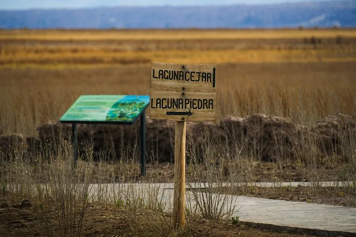 Wooden signpost pointing to Laguna Cejar and Laguna Piedra in a dry landscape.